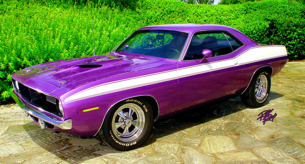 70 Purple Cuda Print