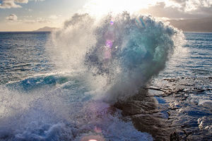 Sea Dragon Wave Portlock Hawaii