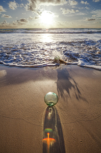 Glass Float on a Golden Sand Beach of Hawaii