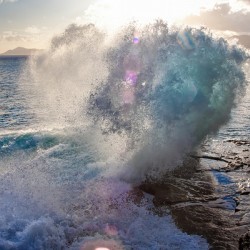 Sea Dragon Wave Portlock Hawaii