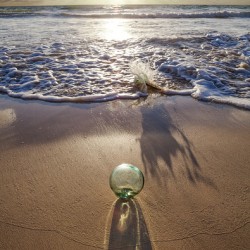 Glass Float on a Golden Sand Beach of Hawaii