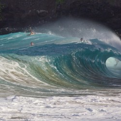 Riding the shorebreak wave at Makapuu