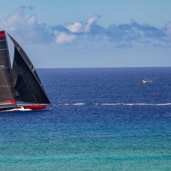 Maxi Yacht Comanche at TRANSPAC Finish Line