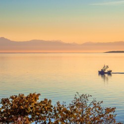 A Purse Seiner in the Haro Strait Salish Sea