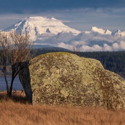 Mt. Baker from American Camp