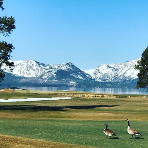 Goosy Golfcourse