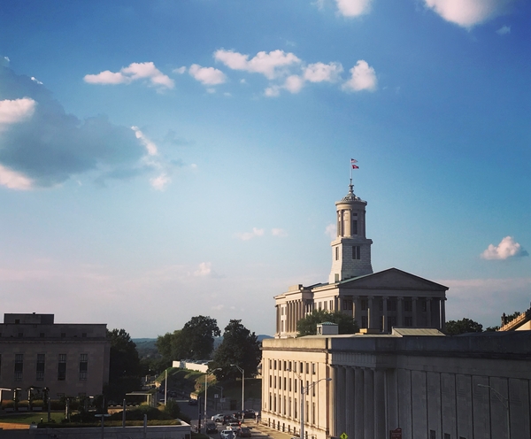 Stock State Capitol 1 by Constantine Giovanni