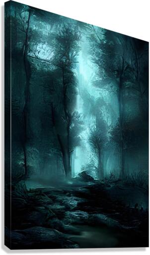 Moonlit Brooke Canvas Print