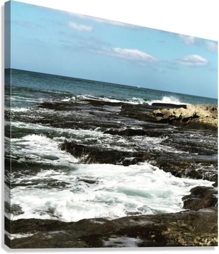 Tidepools 1 Canvas Print