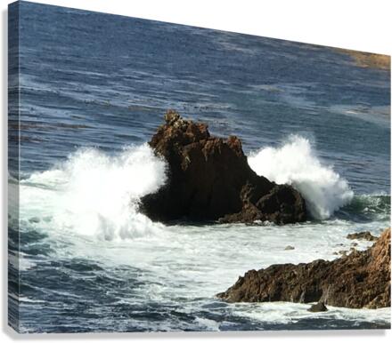 Wave Break 1 Canvas Print