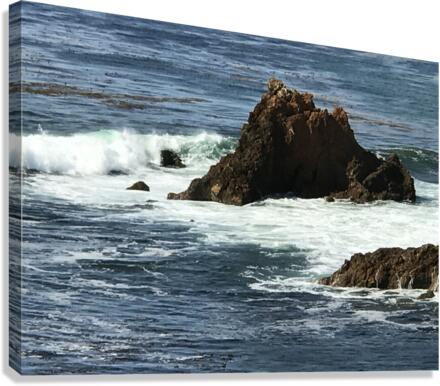 Wave Break 3 Canvas Print