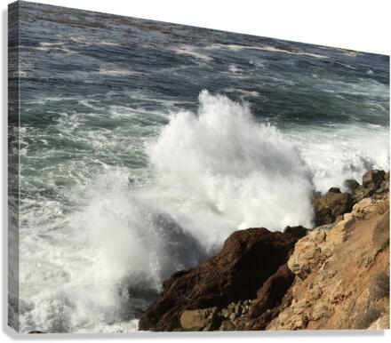 Wave Break Canvas Print