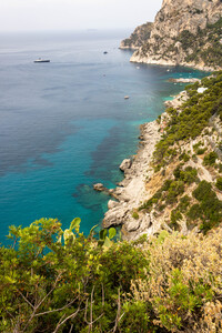 capri 4