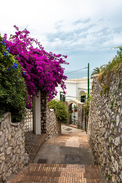 capri 3 Print