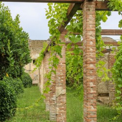 pompei 4