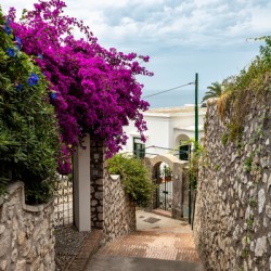 capri 3