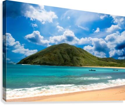 Features Indonesia Canvas Print