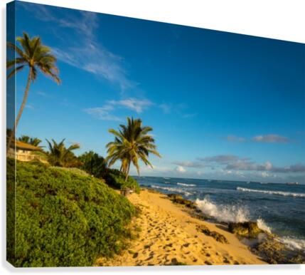 Beachside Canvas Print