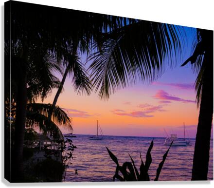Marina Nights Canvas Print