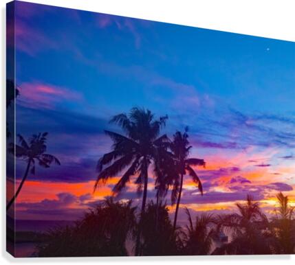 Solomon moon Canvas Print