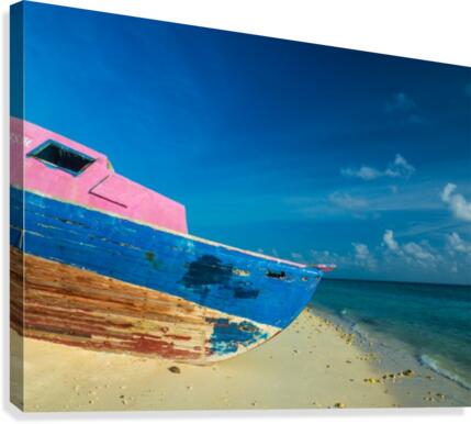 Marooned Canvas Print