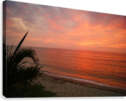 Summers sunset Canvas Print