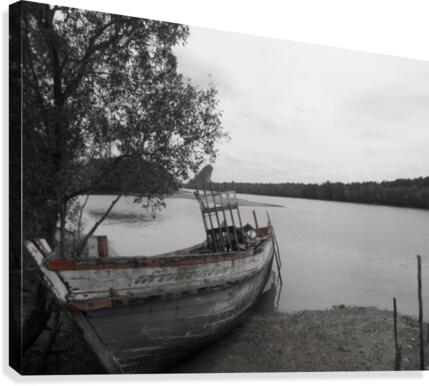 stranded IV Canvas Print
