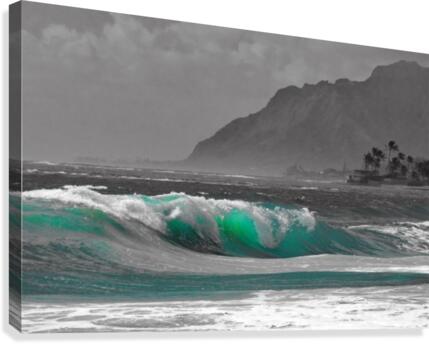 Wave Dynasty Canvas Print