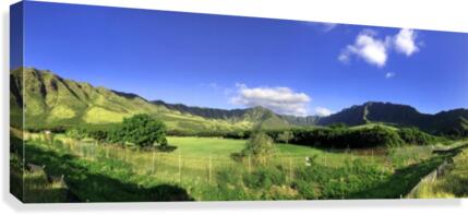 Makua Canvas Print