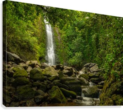 lulumahu 2 Canvas Print