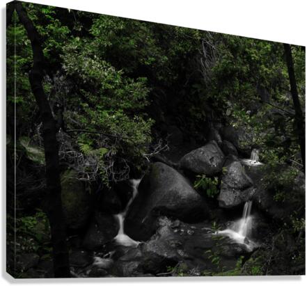 HIdden Canvas Print