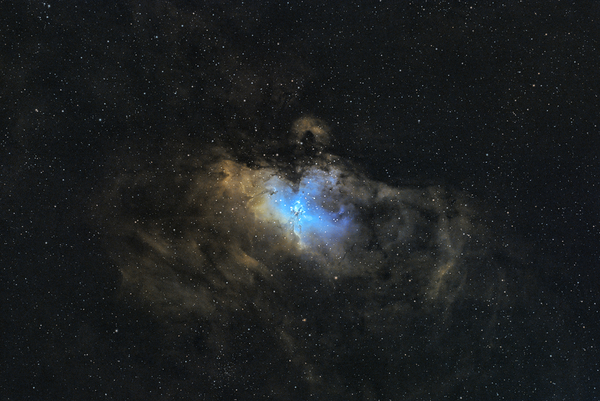 Eagle Nebula in Hubble palette  by George Hoffman