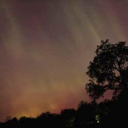 Aurora Borealis 