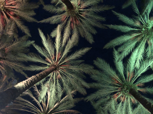 Electric Palm - Celadon Landscape