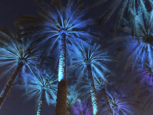 Electric Palm - Cool Landscape 2