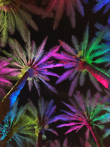 Electric Palm - Multi-Color 2