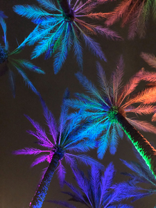 Electric Palm - Multi-Color 1