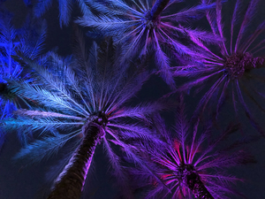 Electric Palm - Violet & Blue Landscape