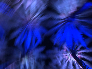 Electric Palm - Blue Spin