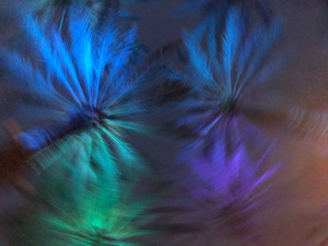 Electric Palm - Cool Spin