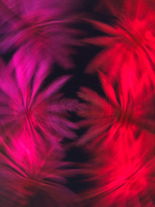 Electric Palm - Red & Pink Spin