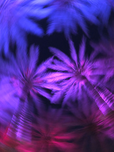 Electric Palm - Violet Spin