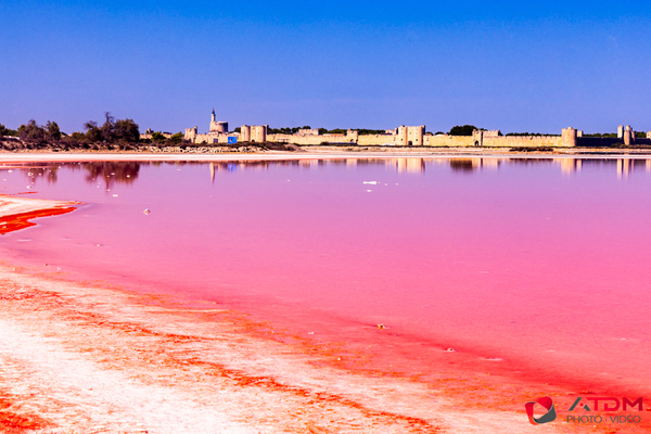 Salin Print
