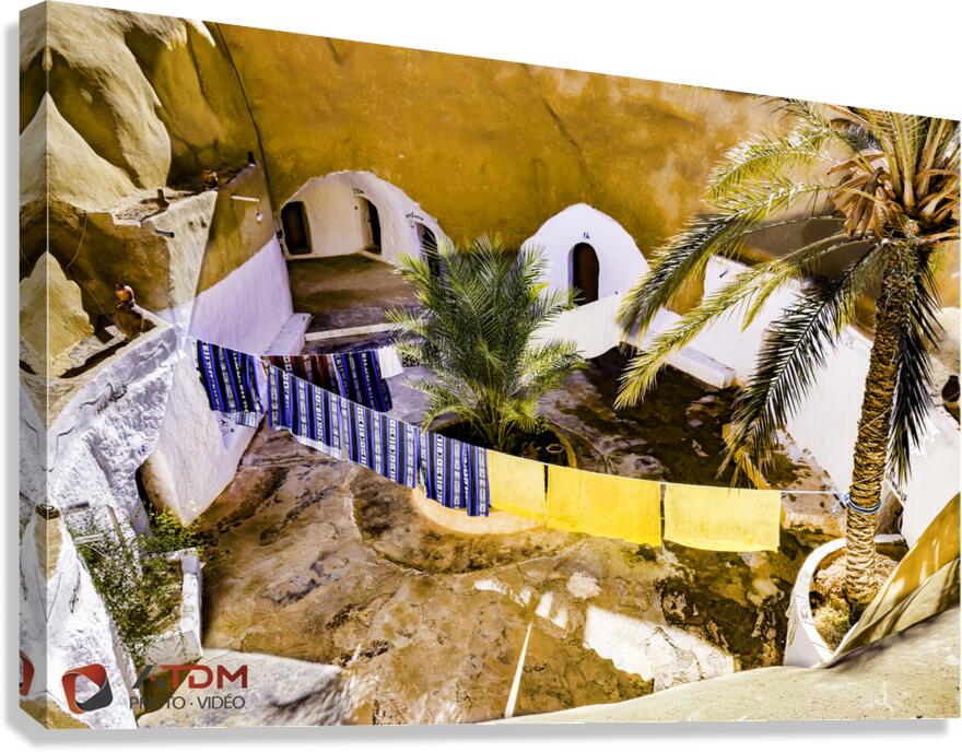 troglodyte Canvas Print