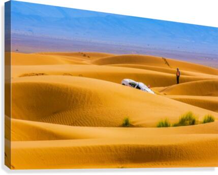 Mal prises Canvas Print