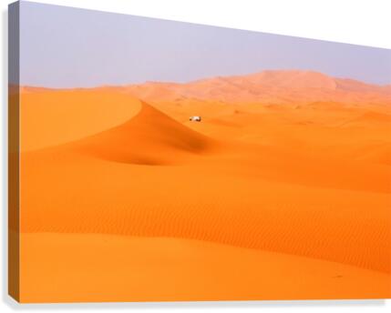 Dunes Sahara Canvas Print