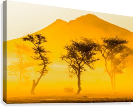 Brume de sable Canvas Print