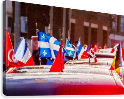 Drapeaux Canvas Print