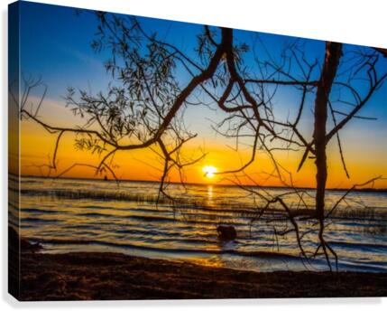 Pastel Canvas Print