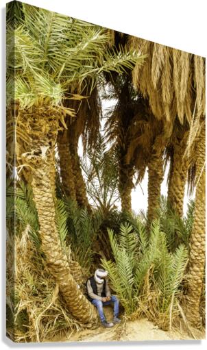 Oasis Canvas Print